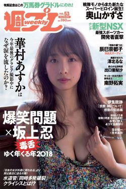 医美女孩林歌免费全文阅读